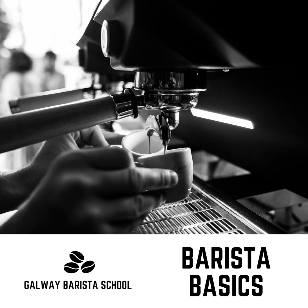 Barista Basics - Wednesday March 19th 2025 | 10am-4pm